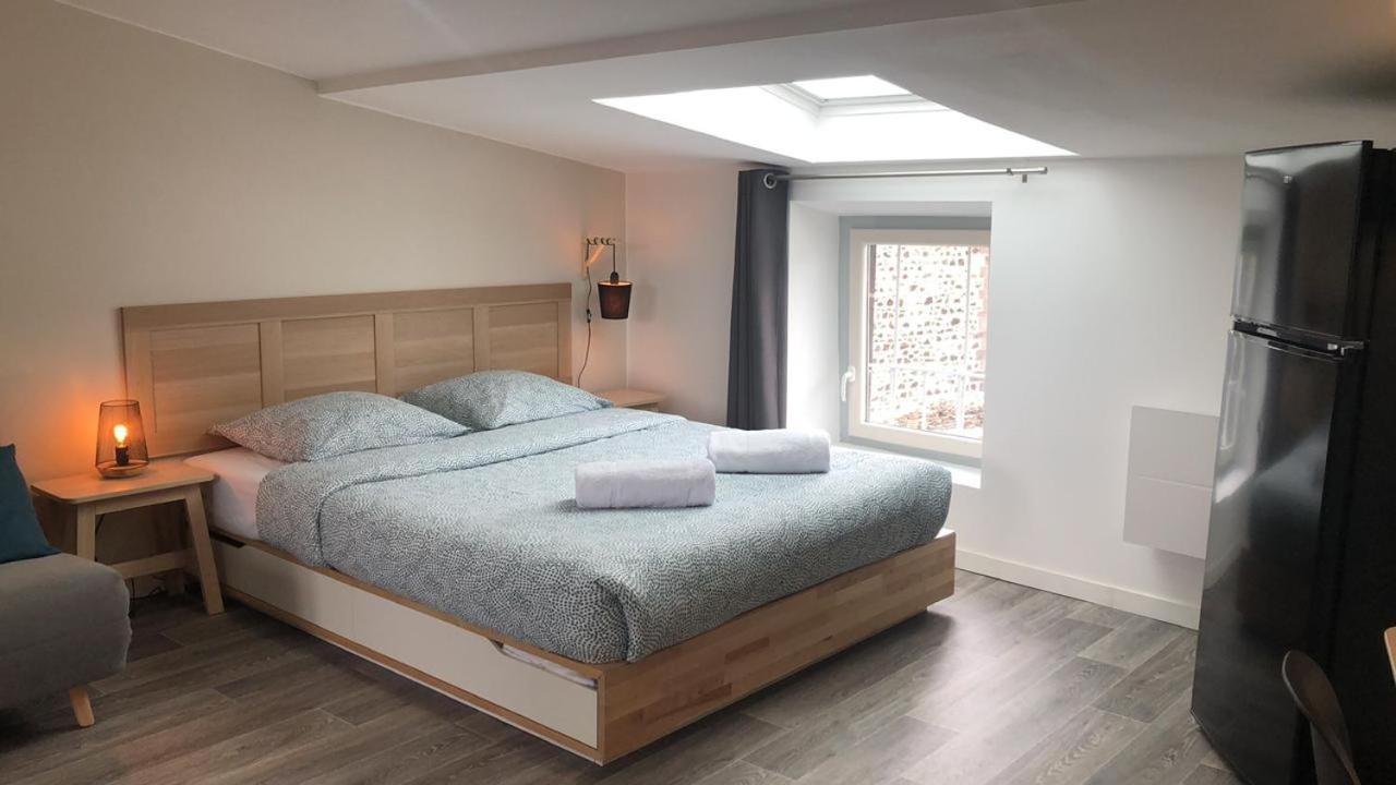 Jolis Appartements Au Coeur De Clermont Ferrand - Proche Jaude - Wifi Et Netflix Zewnętrze zdjęcie